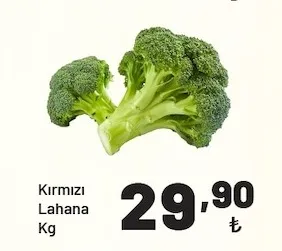 Kırmızı Lahana Kg