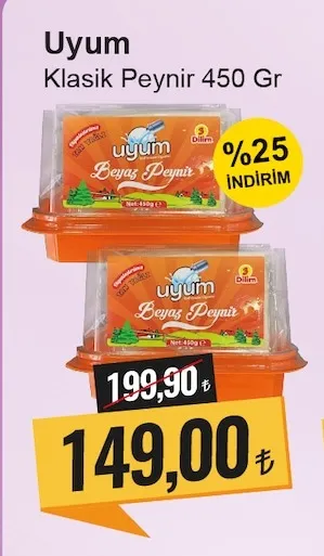 Uyum Klasik Peynir 450 Gr