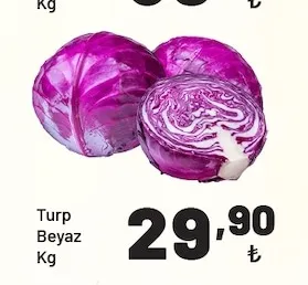 Turp Beyaz Kg