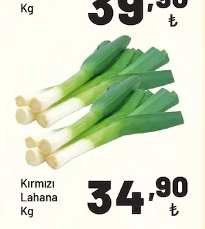 Kırmızı Lahana Kg