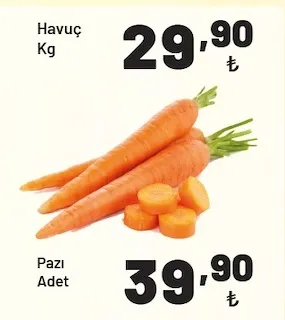 Havuç Kg