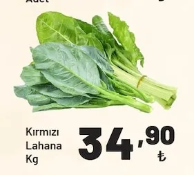 Kırmızı Lahana Kg