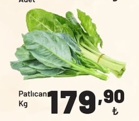 Patlıcan Kg