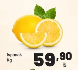 Ispanak Kg