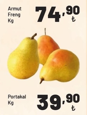 Armut Freng Kg