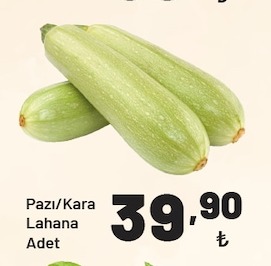 Pazı/Kara Lahana Adet