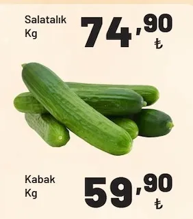 Salatalık Kg