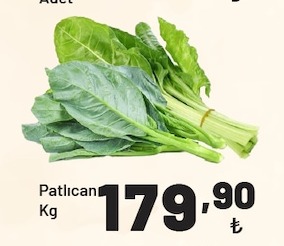 Patlıcan Kg