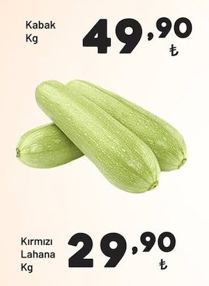 Kabak Kg