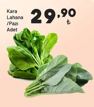 Kara Lahana /Pazı Adet