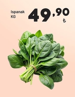 Ispanak Kg