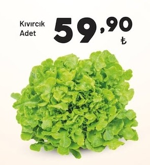 Kıvırcık Adet