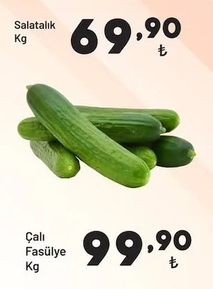 Salatalık Kg