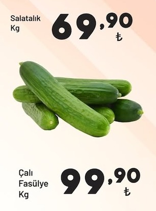 Salatalık Kg
