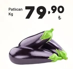 Patlıcan Kg
