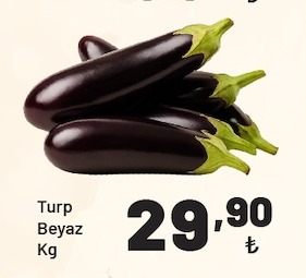 Turp Beyaz Kg