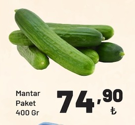 Mantar Paket 400 Gr
