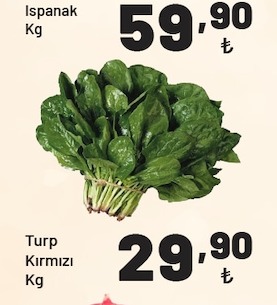 Ispanak Kg