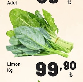 Pazı/Kara Lahana Adet