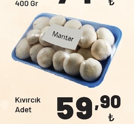 Mantar 400 Gr