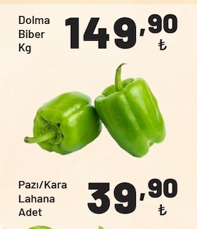 Dolma Biber Kg