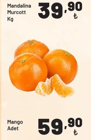 Mandalina Murcott Kg