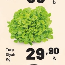 Turp Siyah Kg