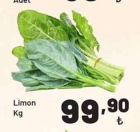 Pazı/Kara Lahana Adet