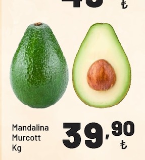 Mandalina Murcott Kg