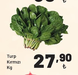 Turp Kirmizi Kg
