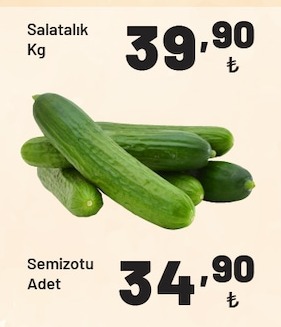 Salatalık Kg