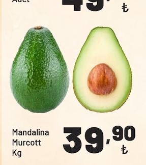 Mandalina Murcott Kg