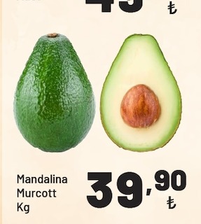 Mandalina Murcott Kg