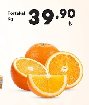 Portakal Kg