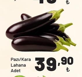 Pazı/Kara Lahana Adet