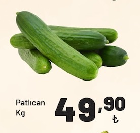 Patlıcan Kg