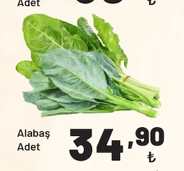Alabaş Adet