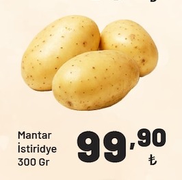 Mantar Istiridye 300 Gr