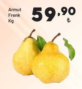 Armut Frenk Kg