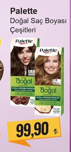 Palette Doğal Saç Boyası Çeşitleri