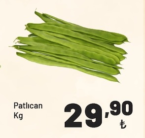 Patlıcan Kg