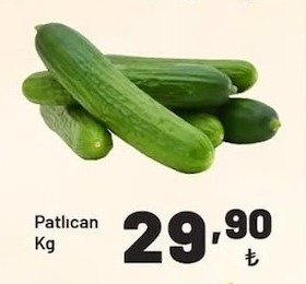 Patlıcan Kg