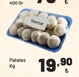 Mantar 400 Gr