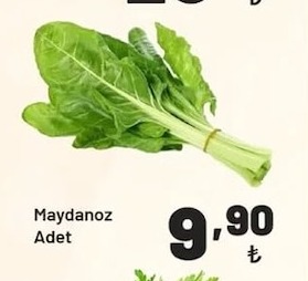 Maydanoz Adet