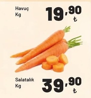 Havuç Kg