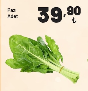 Pazi Adet
