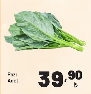 Dolma Biber/Köy Biber Kg