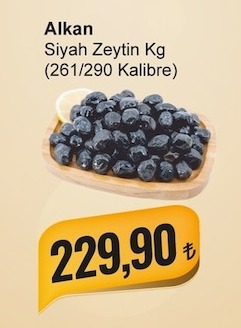 Alkan Siyah Zeytin Kg (261/290 Kalibre)