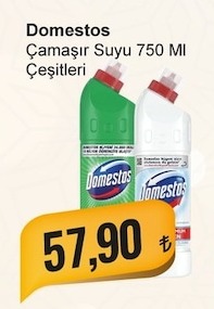 Domestos Çamaşir Suyu 750 Ml Çeşitleri