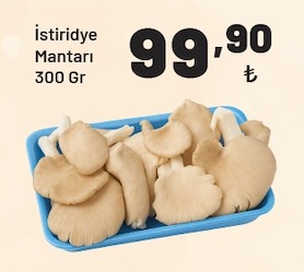 İstiridye Mantarı 300 Gr